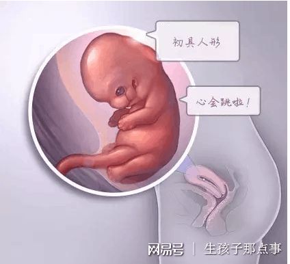 私人孕妈供卵代怀服务选性别